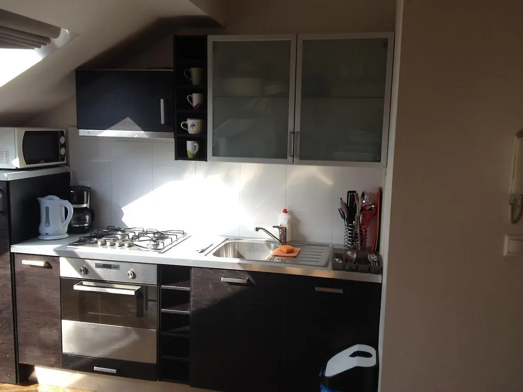 Penthouse Apartment In Vinohrady 프라하