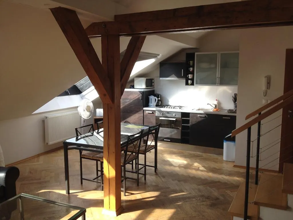 Penthouse Apartment In Vinohrady 프라하